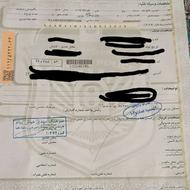 پژو 207i tu5p فول رینگ آلمینیومی، رنگ مشکی متالیک ، سقف فلز