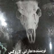 کتاب رمان ( روح او را شکار کن)