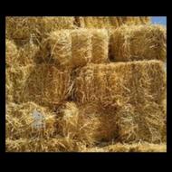 کلش فروشی 500 بسته سالم