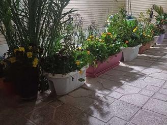 سوئیت اجاره ای