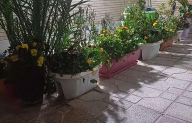 سوئیت اجاره ای