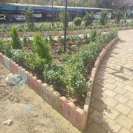 خدمات باغبانی گلکاری درختکاری کاشت گل باغچه کاری