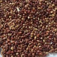 تخم جارو تمیز