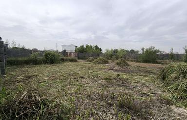 فروش زمین 400 متری سند دار در رشت