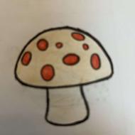 آموزش و رفع أشکال کلاس اول و دوم دبستان