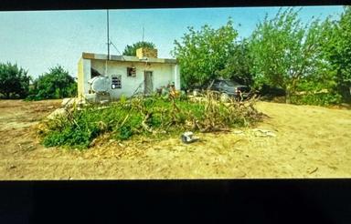 زمین کشاورزی 9350متر