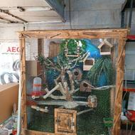 قفس پرنده چوبی با تمام وسایل