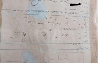 زمین ملک فروشی