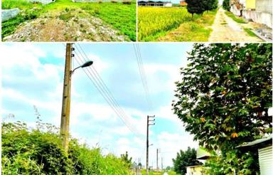 فروش زمین اقساط 250 متر در جواهرده