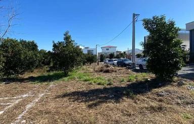 فروش زمین مسکونی 300 متر در مسکون