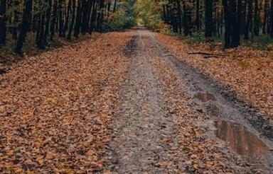 فروش یک قطعه زمین مسکونی در بندرترکمن