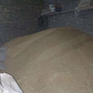 گندم دیم درجه 1