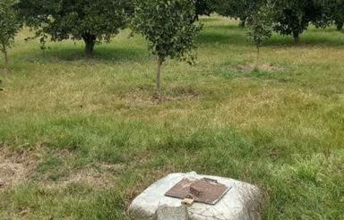 فروش زمین کشاورزی 3600 متر در بند افروز