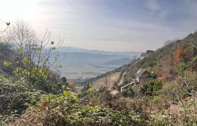 فروش زمین مناسب ساخت کلبه چوبی