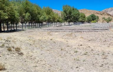 زمین کشاورزی در روستای فولادمحله