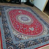 فروش قالی12 متری