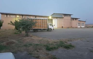 فروش شرکت تعاونی خوراک دام