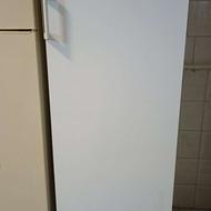 فریزر، سالم