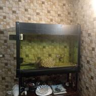 فروش اکواریوم