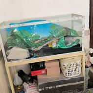 آکواریوم ماهی پایه دار چرخ دار