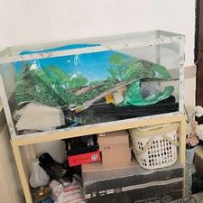 آکواریوم ماهی پایه دار چرخ دار