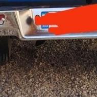 فروش سپر عقب لک جنس خوب عالی خوش رخ درحد