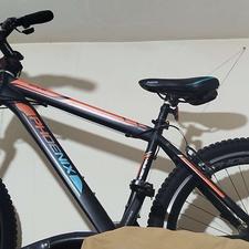 دوچرخه 26,عروسک