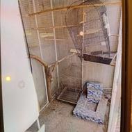 قفس بزرگ مناسب پرندگان