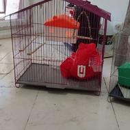 دو عدد قفس پرنده