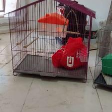 دو عدد قفس پرنده