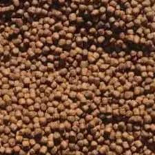 غذا خشک سگ و گربه