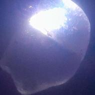 سنگ الماس طبیعی به وزن 2گرم