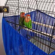 پرنده .طوطی برزیلی