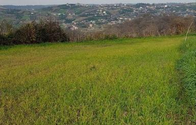 زمین زراعی مخصوص سرمایه گذاری