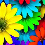 ‍️کاشیکاری با قیمت مناسب