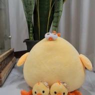 جوجه خپلی پولیشی