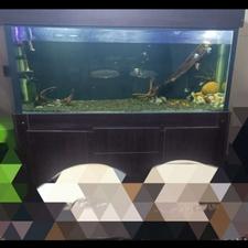 آکواریوم 170 سانتی