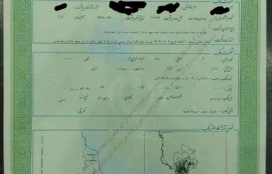 باغ میوه باغ بادام