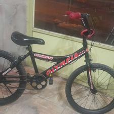 2 عدد دوچرخه 20