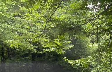 زمین وصل به محدوده واقع در چهار راه ولاغوز