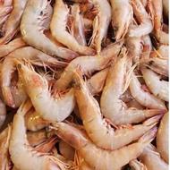 عرضه انواع محصولات دریایی