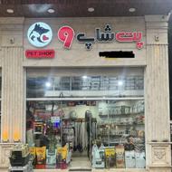 به یک همکار جهت کار در پت شاپ نیازمندیم