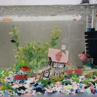 آکواریوم با تمام وسایل