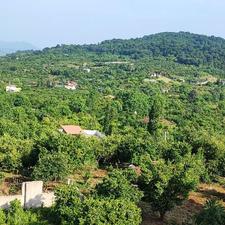 فروش ویلا دربست 660 متری در جاده نظامی