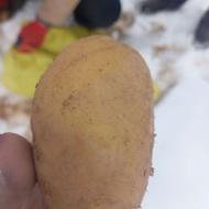 سیب زمینی جلی ، سوپراسپریت