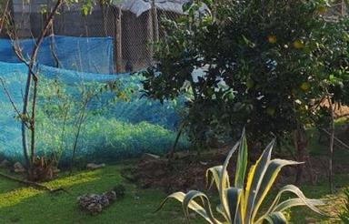 خانه ویلایی 650 متری