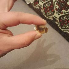 نگین انگشتر