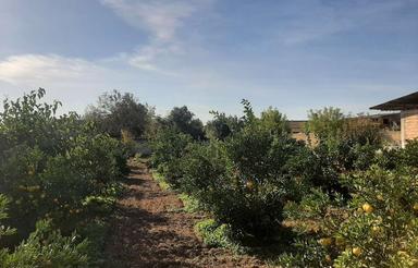 زمین مسکونی گهرباران به قیمت