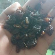 کشمش آفتابی سیاه شیرین