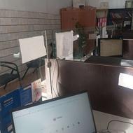 همکار خانم در دفتر پیشخوان دولت